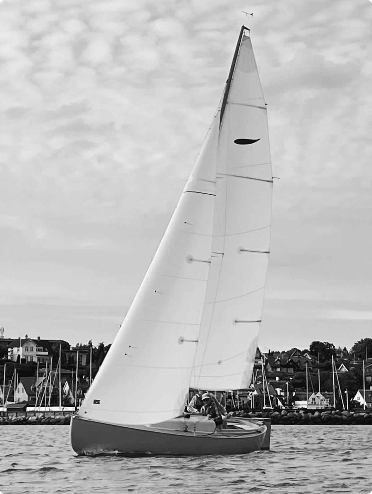Sælen sejlbåd